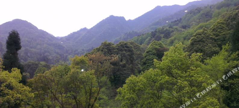 楠亭轩民宿(峨眉山五显岗店)图片