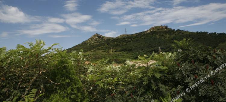 葫芦岛嘉宝宾馆图片