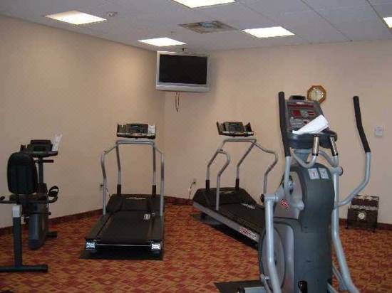 Hilton Garden Inn Tampa Northwest Oldsmar Hotel Reviews And Room