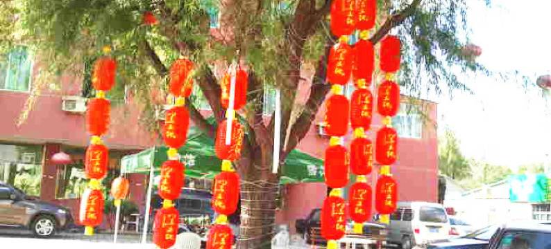 沈阳山里红山庄图片