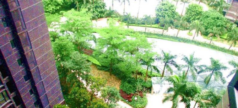 三色堇服务公寓(深圳京基100店)图片