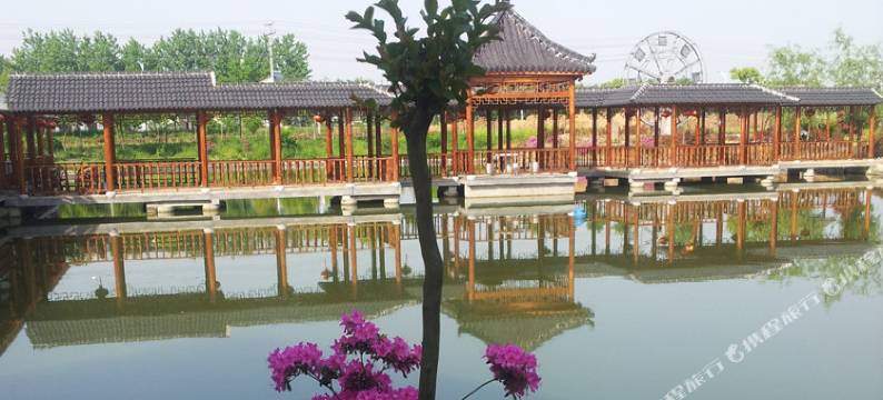 宜兴甲有生态园图片