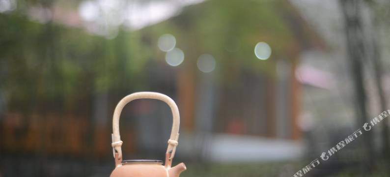 山涧溪.明庐轻居山景度假别墅(庐山风景区山上店)图片