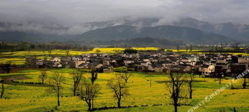 卢村木雕楼农家饭庄图片