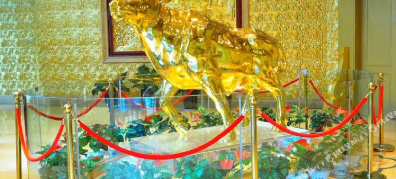 江阴龙希国际大酒店图片