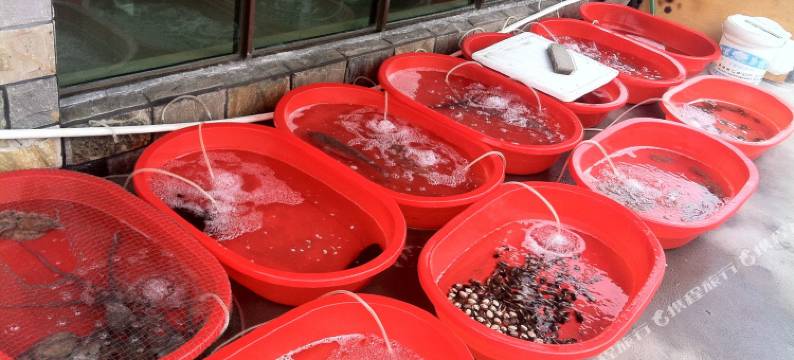 朱家尖乌石渔庄农家乐图片