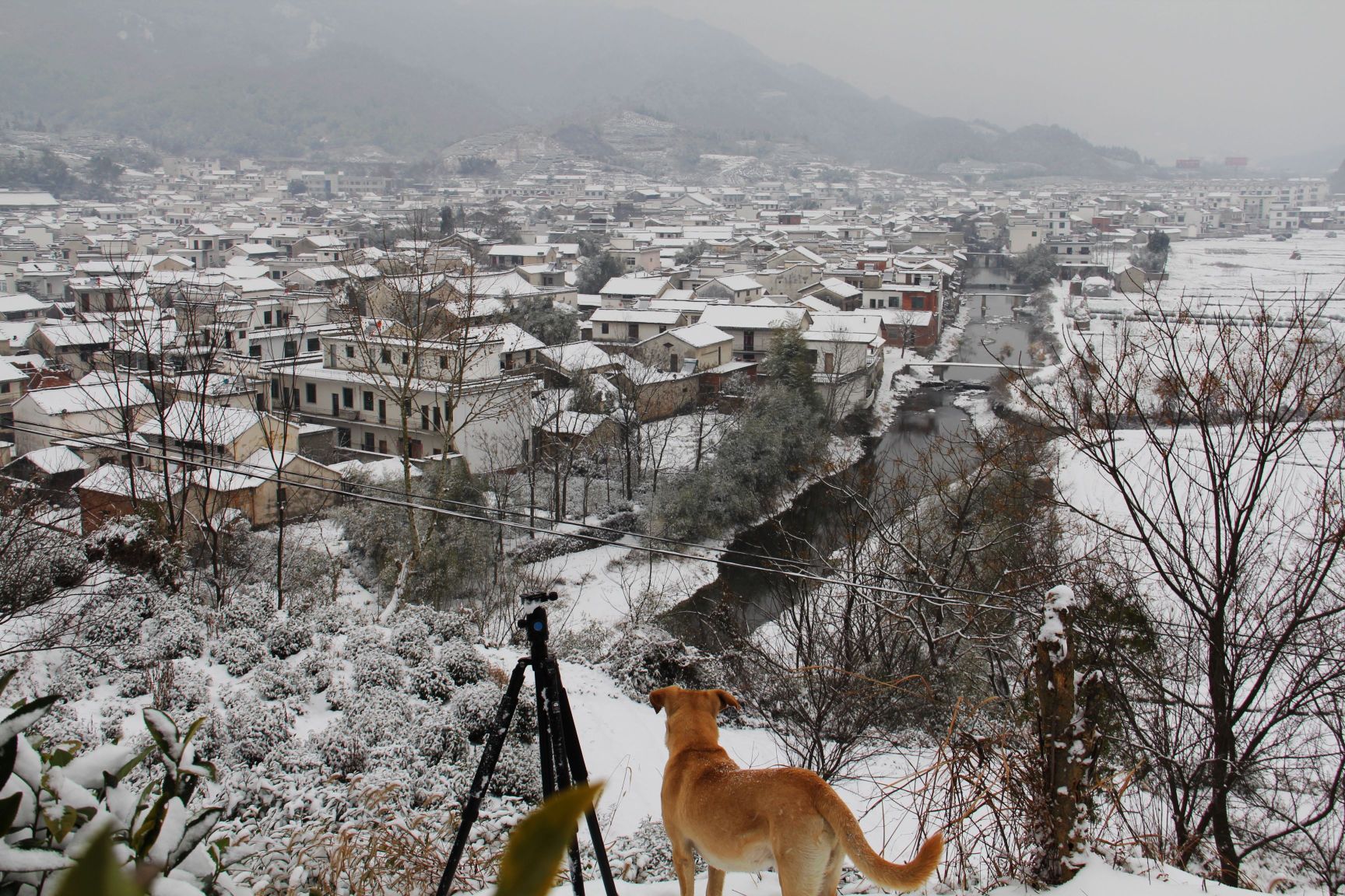Huangshan ShouShanRuZong Hotel Over view