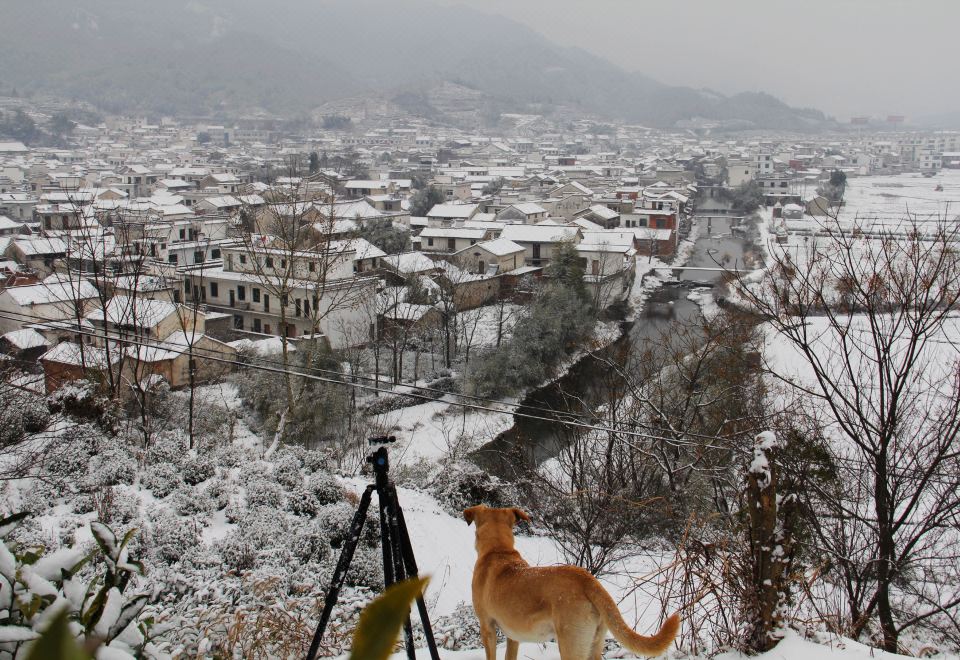 Huangshan ShouShanRuZong Hotel Hotel Overview