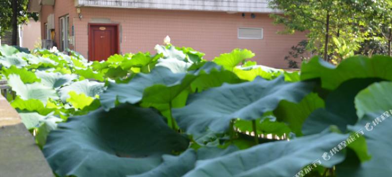 重庆山隐秋鸣酒店(四川外国语大学店)图片