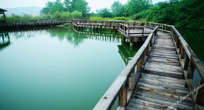 凤凰湖原生态休闲山庄地址,订餐电话,商户详情,马鞍山_百度地图