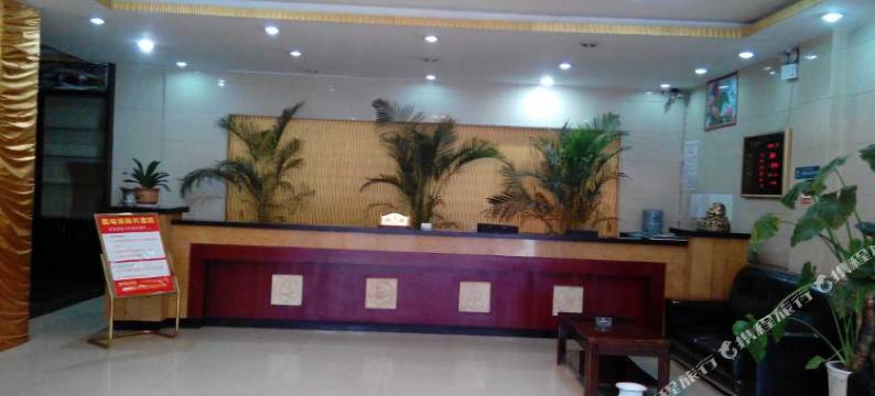 卢氏城关鑫电丽商务酒店图片