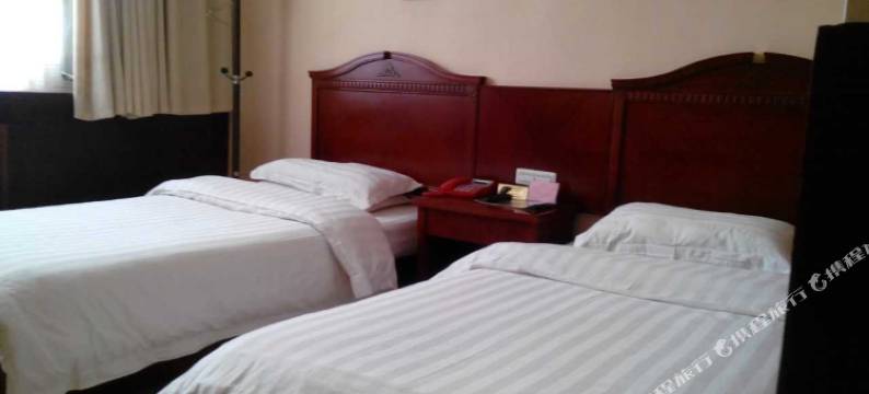 卢氏城关鑫电丽商务酒店图片