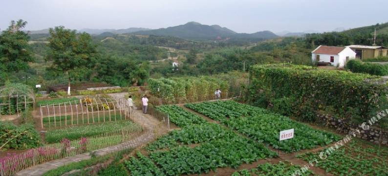 易县望龙度假山庄图片