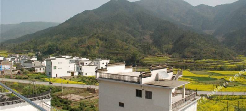 婺源江岭东篱居图片