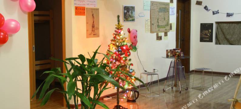 济南哈比青年旅舍图片