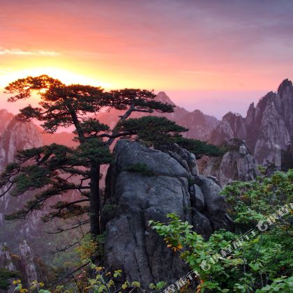 黄山风景区+宏村4日3晚私家团