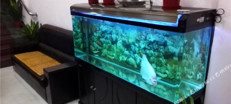 韶关翁源华美宾馆图片