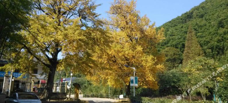 莫干山天福农家图片