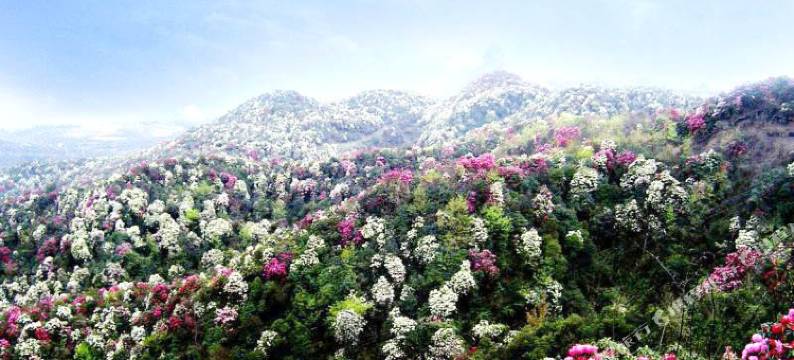 金秀山弟客栈图片