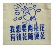 飞扬吾心