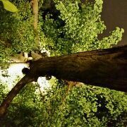 走起来发现自己