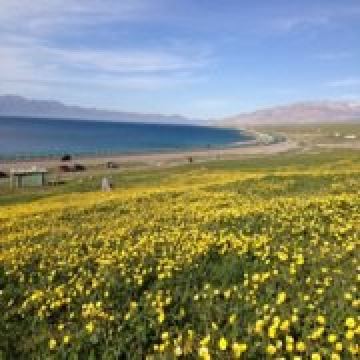 精灵🧚‍♀️精灵🧚‍♀️