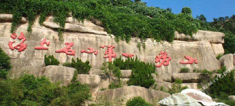 崂山世源农家宴图片