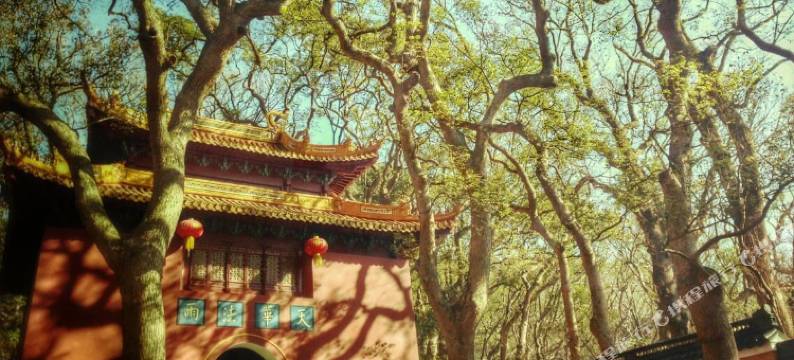 普陀山佛之缘农家客栈(法雨寺店)图片