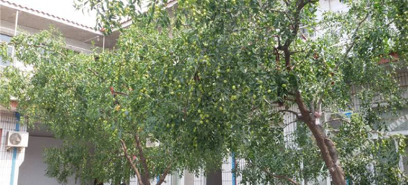 稷山祥和宾馆图片