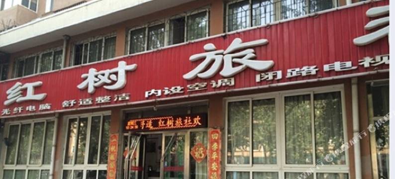 阜新红树旅社图片