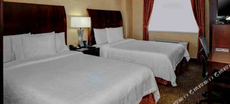 纽约/曼哈顿切尔西希尔顿花园酒店(Hilton Garden Inn New York/Manhattan-Chelsea)图片