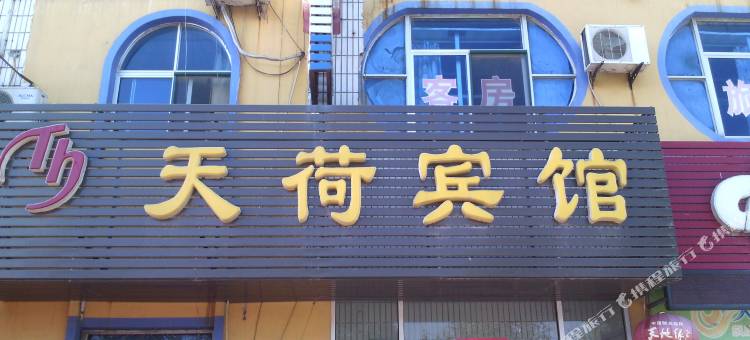 天荷宾馆(东营钻井公园店)图片
