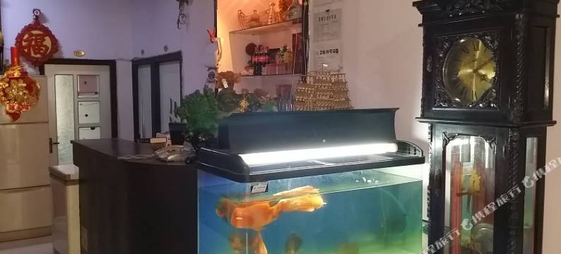 沈阳君江鑫星旅社图片