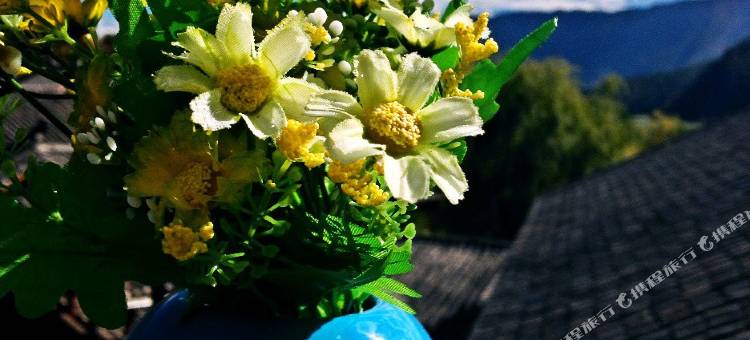 泸沽湖格调金马家民宿图片