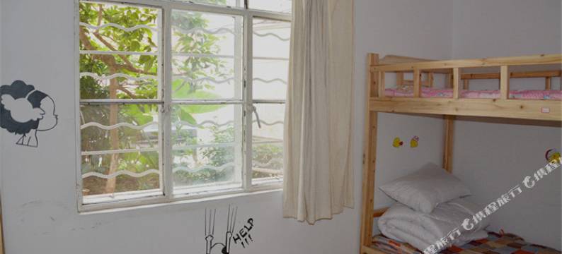 昆明骆驼草青年旅社图片