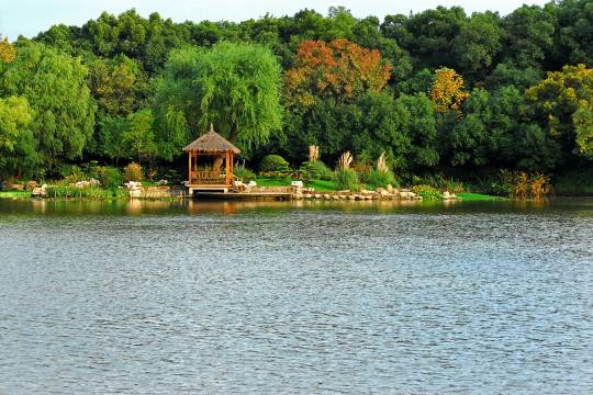 上海西郊宾馆图片