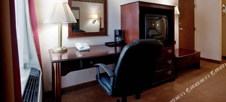 克莱蒙斯 I-40 凯艺套房酒店(Quality Inn & Suites Clemmons I-40)图片