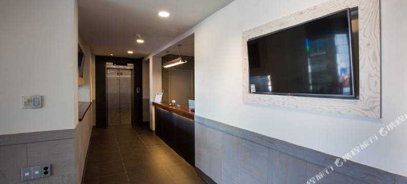 弘大新村彼得猫酒店(Petercat Hotel Shinchon)图片