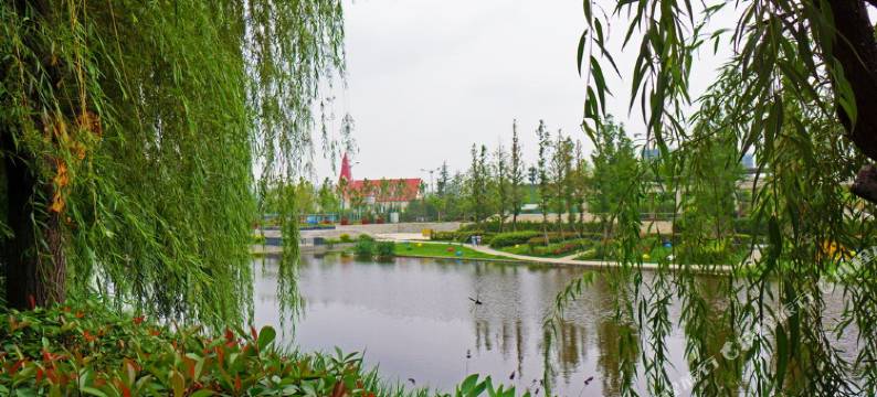 青岛诚信家宾馆图片