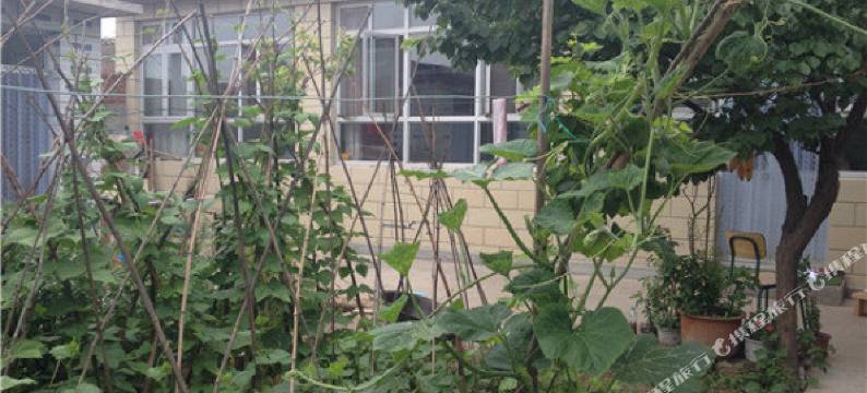 北京龙庆峡常会琴农家院图片