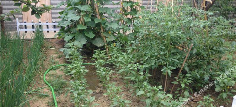 北京龙庆峡雨宣庄农家院图片