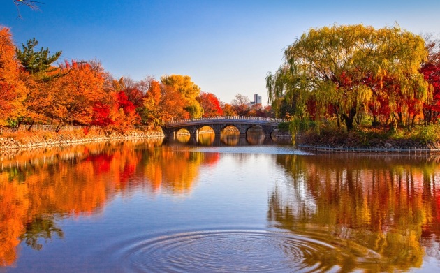 韩国首尔4日3晚半自助游(3钻)·2天自由/3晚市区酒店/赠一日游 问答