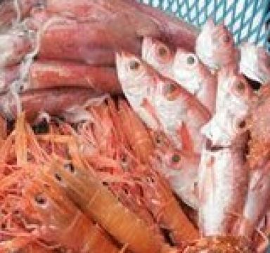蒸煮流野海鲜美食图片