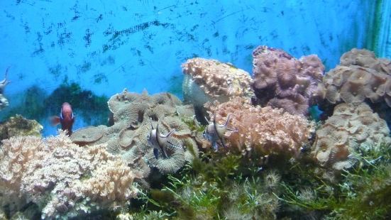 Underwater World