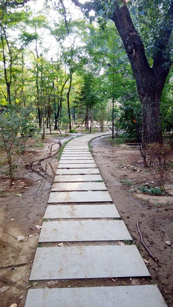 Nanhu Park
