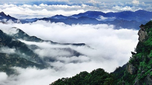 鸭石红豆杉景区