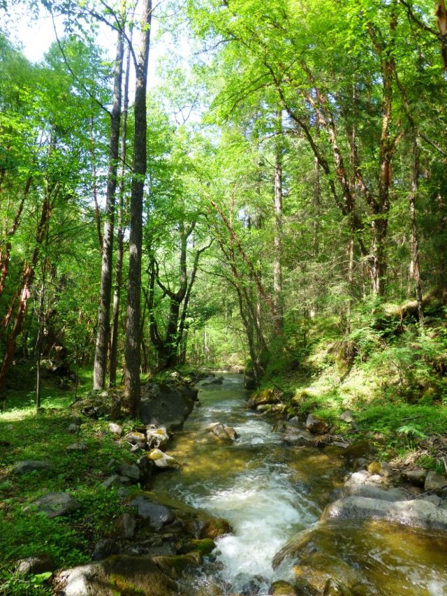北山國家森林公園
