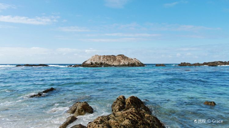 7-Day San Francisco and Grand Canyon Tour from Los Angeles·Las Vegas, Grand Canyon West Rim, Seven Magic Mountains, Outlets at Barstow, 17-Mile Drive, City Tour and Yosemite National Park