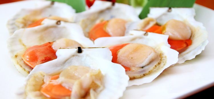 Jing Shang Wu Japanese Cuisine Jin Qiao Reviews Food - 