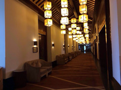 旺山景区游记图片] 早春周末，迷你旅行24h
